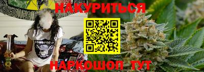 индика Будённовск
