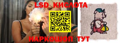 индика Будённовск