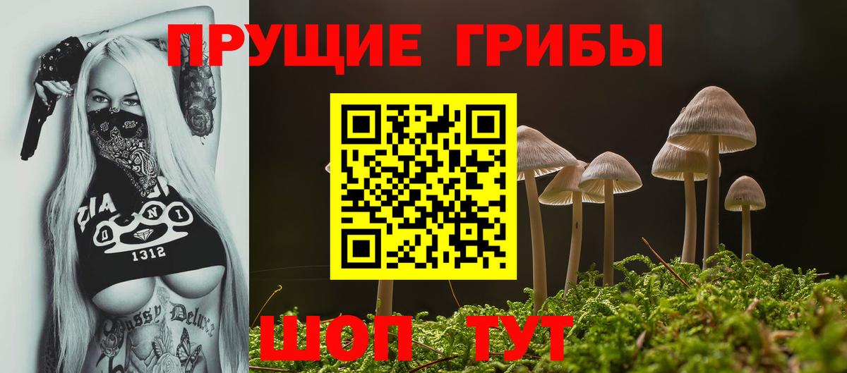 цены   Вход с VPN  Кумертау  Псилоцибиновые грибы Cubensis 